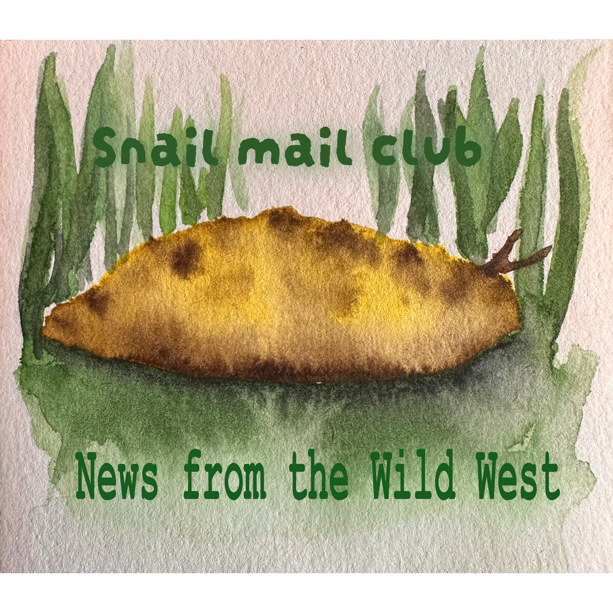 Snail mail club (English)